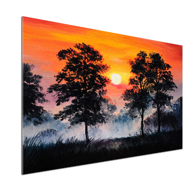 Spatplaat keuken Zonsondergangbos