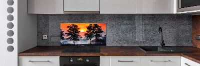 Spatplaat keuken Zonsondergangbos