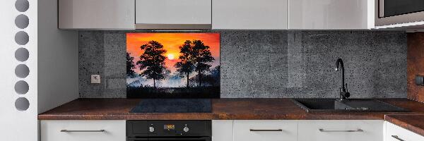 Spatplaat keuken Zonsondergangbos