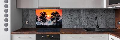 Spatplaat keuken Zonsondergangbos