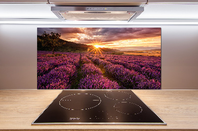 Panel dekor szkło Pole lawendy