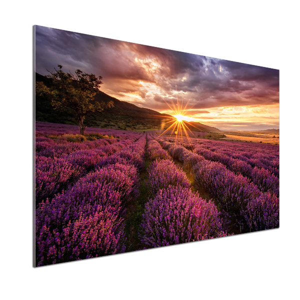 Keuken achterwand Lavendelveld