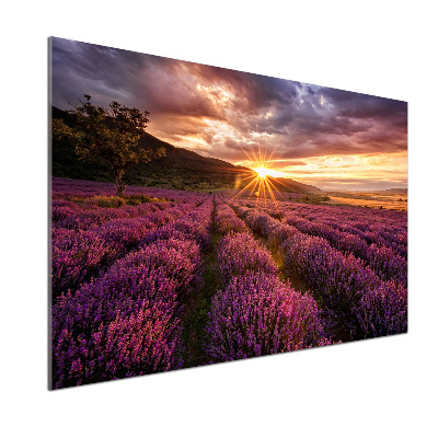 Keuken achterwand Lavendelveld