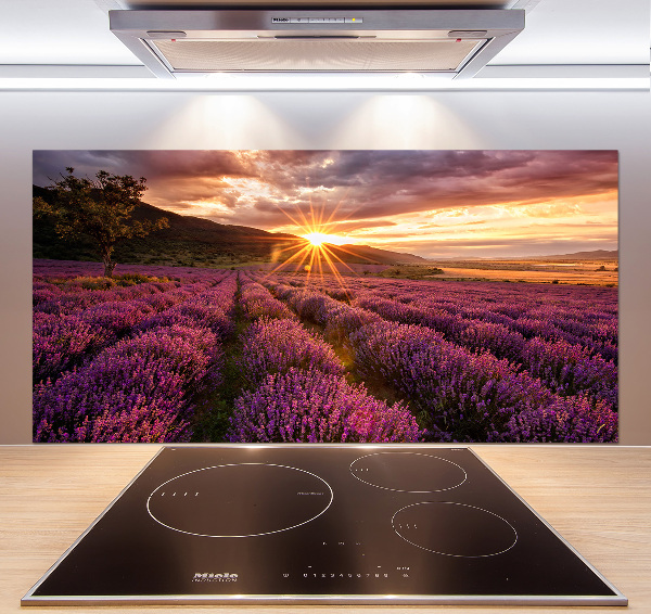 Keuken achterwand Lavendelveld