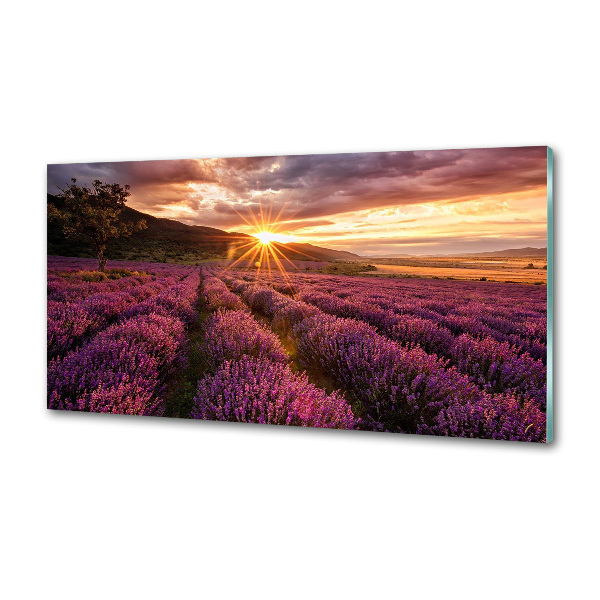 Keuken achterwand Lavendelveld