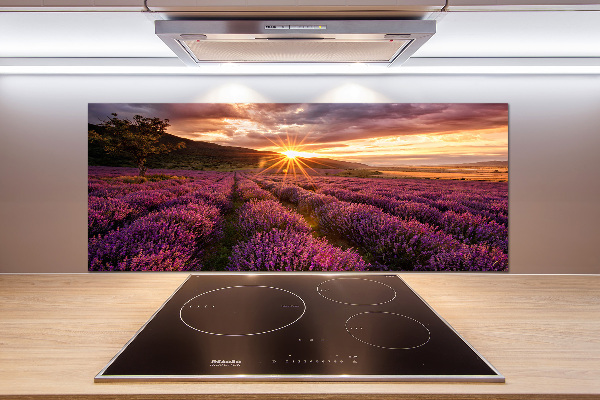 Keuken achterwand Lavendelveld