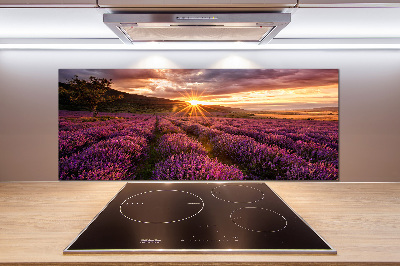 Keuken achterwand Lavendelveld