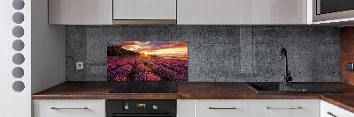Keuken achterwand Lavendelveld