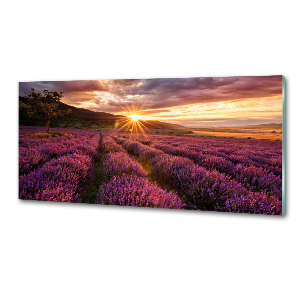 Keuken achterwand Lavendelveld