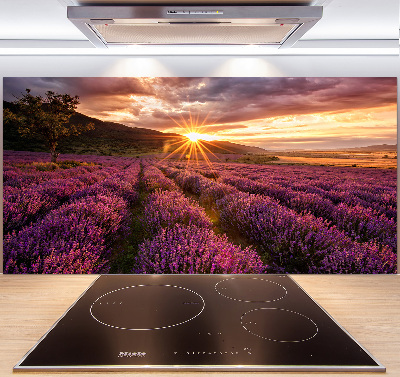 Keuken achterwand Lavendelveld