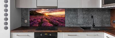 Panel dekor szkło Pole lawendy
