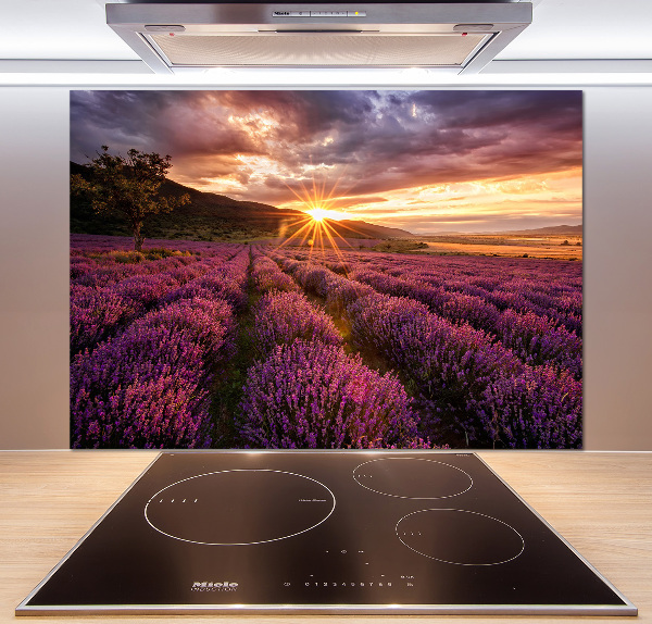 Keuken achterwand Lavendelveld