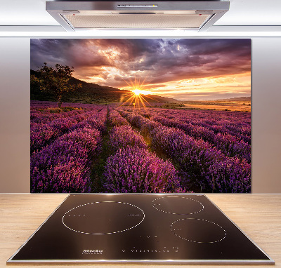 Keuken achterwand Lavendelveld