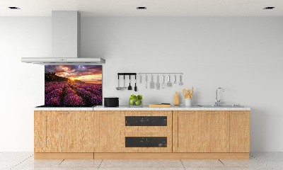 Keuken achterwand Lavendelveld