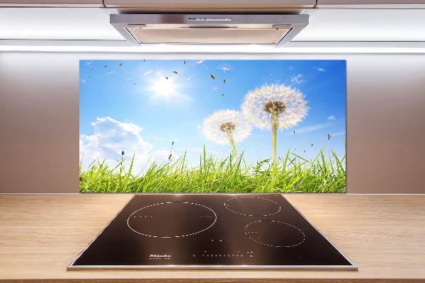 Glazen achterwand keuken Paardenbloemen