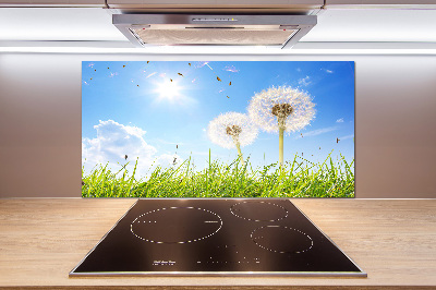 Glazen achterwand keuken Paardenbloemen