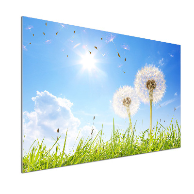 Glazen achterwand keuken Paardenbloemen