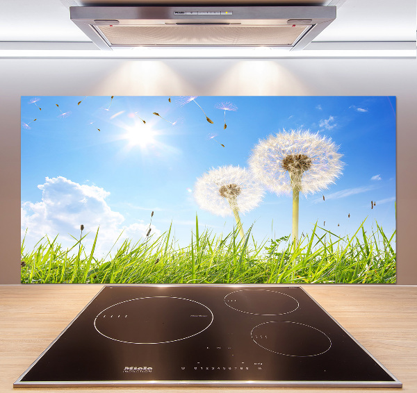 Glazen achterwand keuken Paardenbloemen