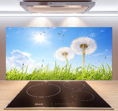 Glazen achterwand keuken Paardenbloemen