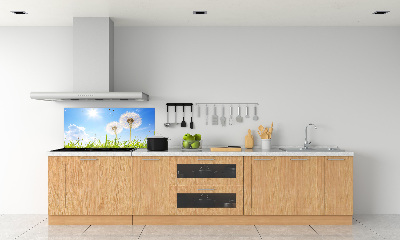 Glazen achterwand keuken Paardenbloemen