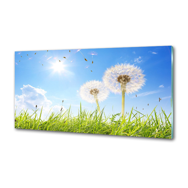 Glazen achterwand keuken Paardenbloemen