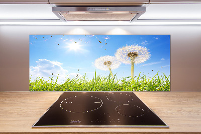 Glazen achterwand keuken Paardenbloemen