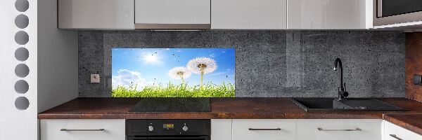 Glazen achterwand keuken Paardenbloemen