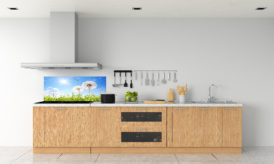 Glazen achterwand keuken Paardenbloemen
