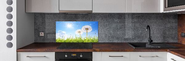 Glazen achterwand keuken Paardenbloemen