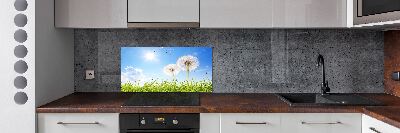 Glazen achterwand keuken Paardenbloemen