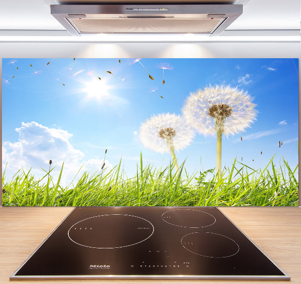 Panel między meble w kuchni Dmuchawce