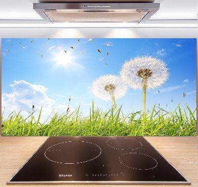 Panel między meble w kuchni Dmuchawce