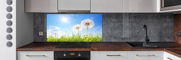 Glazen achterwand keuken Paardenbloemen