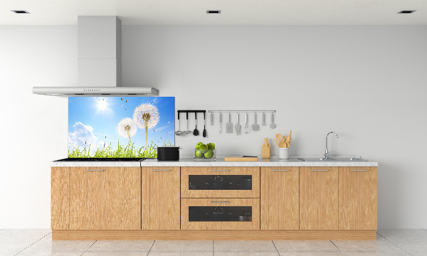 Glazen achterwand keuken Paardenbloemen