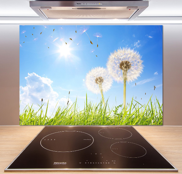 Glazen achterwand keuken Paardenbloemen