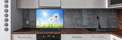 Glazen achterwand keuken Paardenbloemen