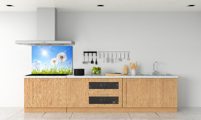 Glazen achterwand keuken Paardenbloemen