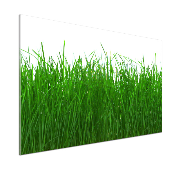 Achterwand keuken Gras