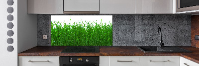 Achterwand keuken Gras