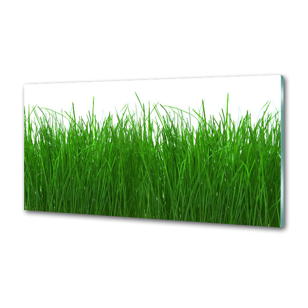Achterwand keuken Gras