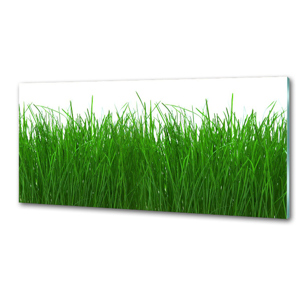 Achterwand keuken Gras