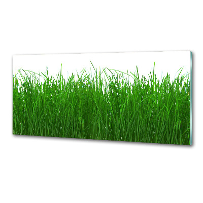 Achterwand keuken Gras