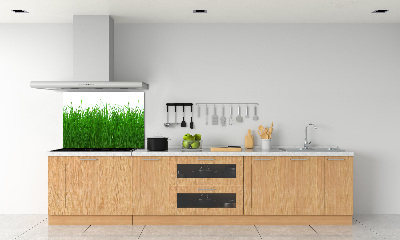 Achterwand keuken Gras