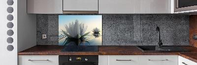 Spatscherm keuken Lotusbloem