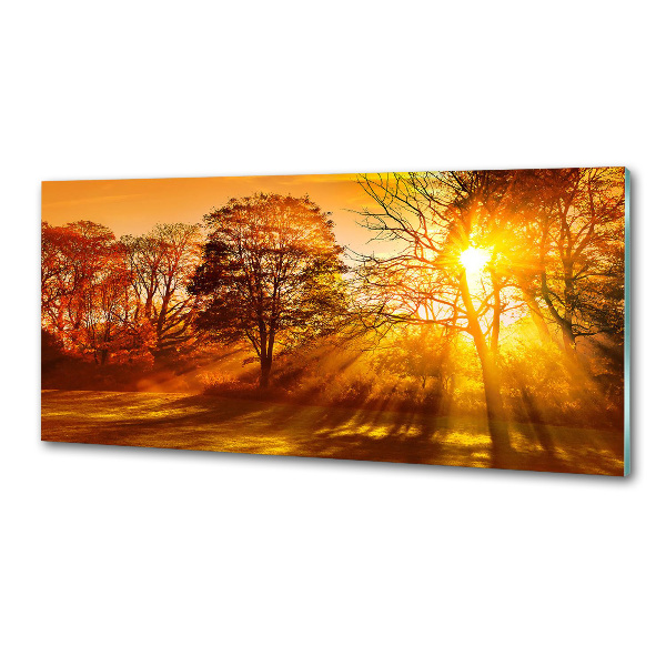 Panel do kuchni Zachód słońca