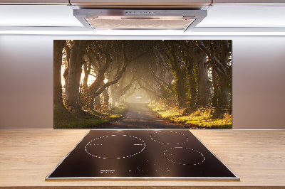 Glazen achterwand keuken Mist in het bos