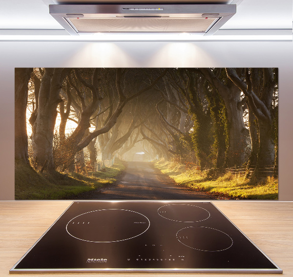 Glazen achterwand keuken Mist in het bos