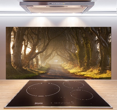 Glazen achterwand keuken Mist in het bos
