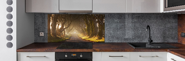 Glazen achterwand keuken Mist in het bos