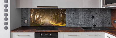 Glazen achterwand keuken Mist in het bos